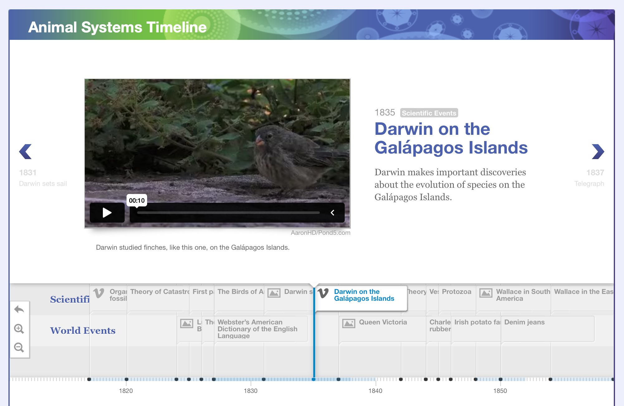 Core Concepts Biology Platform